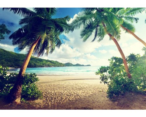 Tropisch fotobehang met palmbomen op het strand en een kalme zee op de achtergrond.