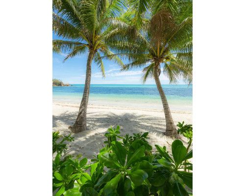 Palmbomen strand fotobehang, met wuivende palmbomen en een tropisch strand.