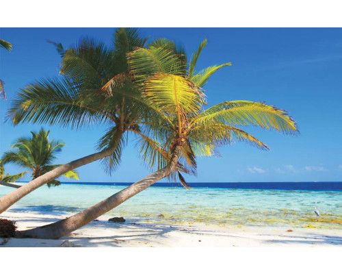 Fotobehang van een tropisch strand met groene palmbomen, een azuurblauwe zee en een stralende zon aan de horizon.