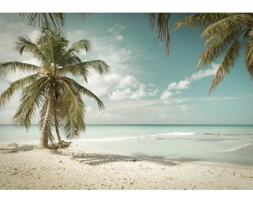 Tropisch strand met een palmboom die over de zee buigt, fotobehang dat het ultieme strandgevoel oproept.