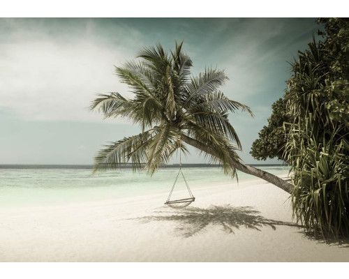 Palmboom met een schommel aan de zee, fotobehang voor een zorgeloze en tropische uitstraling.