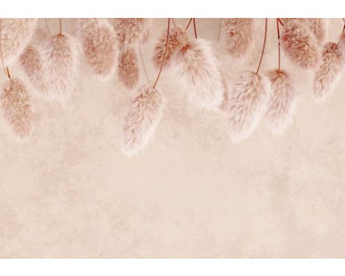 Pampasgras tegen een betonnen muur op dit fotobehang, met een subtiele mix van natuur en industriële texturen.