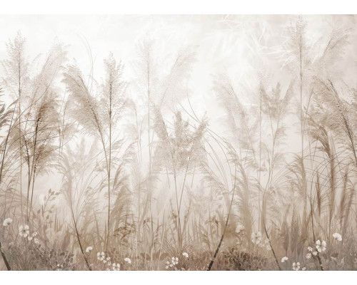 Een fotobehang met een pampasgras tuin, waarin sierlijke pluimen in warme zandtinten een zachte en natuurlijke uitstraling geven.