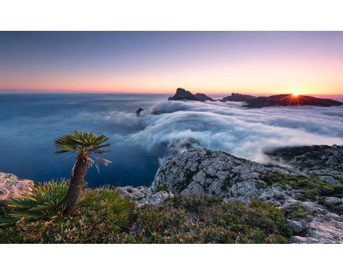 Paradijs eiland Mallorca natuur fotobehang, ideaal voor een serene kamer.