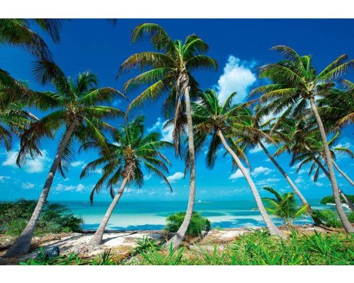 Fotobehang van paradijselijke palmbomen op een tropisch strand met uitzicht op de zee.