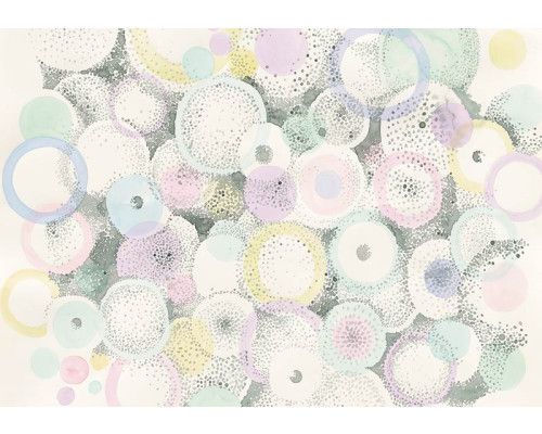 Pastelkleurige cirkels, weergegeven op een kunstzinnige manier op dit vrolijke fotobehang.