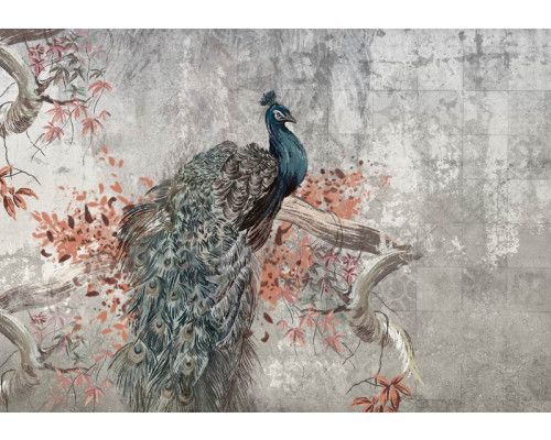 Fotobehang van een geschilderde pauw op een betonnen achtergrond, een industriële en kunstzinnige weergave van de vogel.