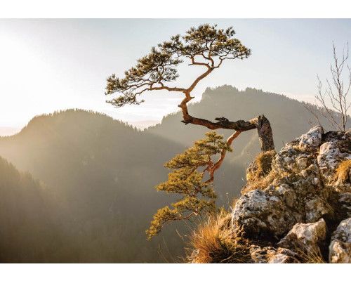 Fotobehang van het Pieniny-gebergte met uitzicht op de Sokolica-berg en omliggende bossen.