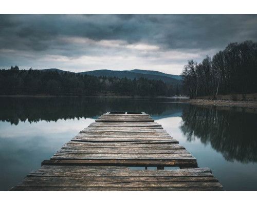 Fotobehang van een houten pier die zich uitstrekt over een rustig meer, omgeven door een weelderig natuurlandschap.