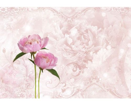 Roze pioenrozen en rozen in volle bloei, met een abstracte achtergrond voor een artistieke touch op dit fotobehang.