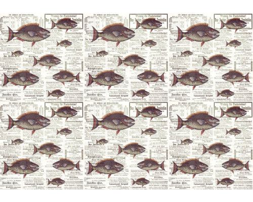 Piranha's weergegeven in een dynamische en speelse krantenstijl, opvallend weergegeven op dit unieke fotobehang.