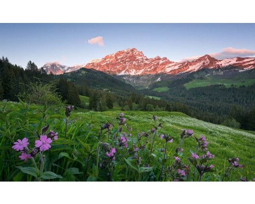 Pittoresk Zwitserland met bergen en een prachtig landschap.