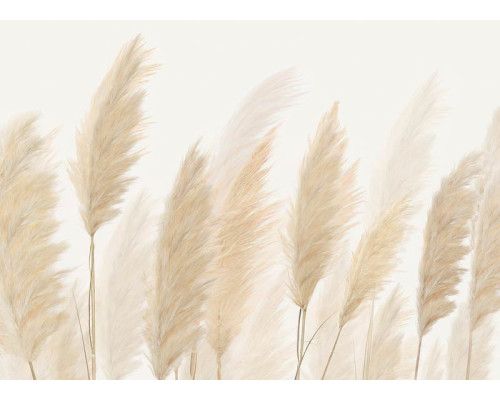 Een fotobehang met pluimen, waarin sierlijke pampasgras pluimen in zachte aardetinten een elegante en rustgevende uitstraling geven.