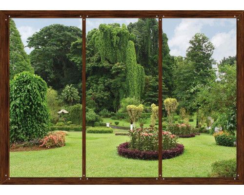 Fotobehang Raamzicht op Botanische Tuin