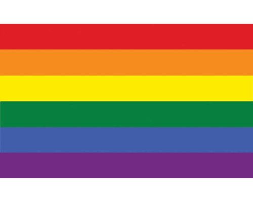 Fotobehang met een regenboogvlag, kleurrijk en levendig.