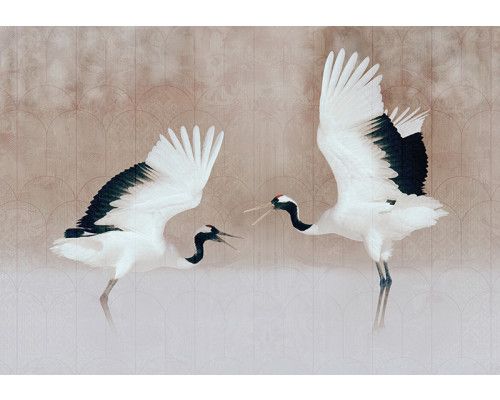 Fotobehang, Reiger Vogels Beige