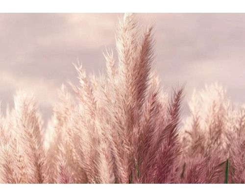 Fotobehang luxe marmer met goud, close-up van witte marmerstructuur met glanzende goudaderen.