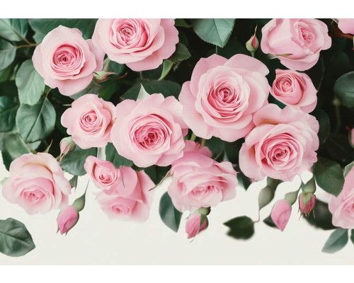 Fotobehang met artistieke palmbomen in zwart-witte illustratiestijl.