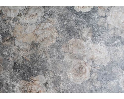 Grijze rozen afgebeeld op een betonnen muur, een fotobehang met een moderne en minimalistische stijl.