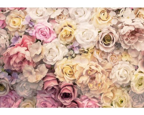 Fotobehang met kleurrijke rozen en bloemen in verschillende tinten, levendige en speelse bloemen voor een frisse look.