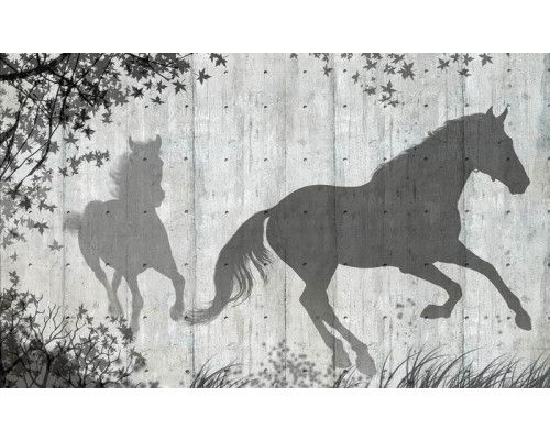 Fotobehang met een schaduw van paarden op een betonnen muur, met een industriële sfeer.