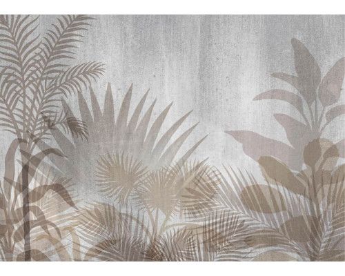 Fotobehang Schaduwen van Planten