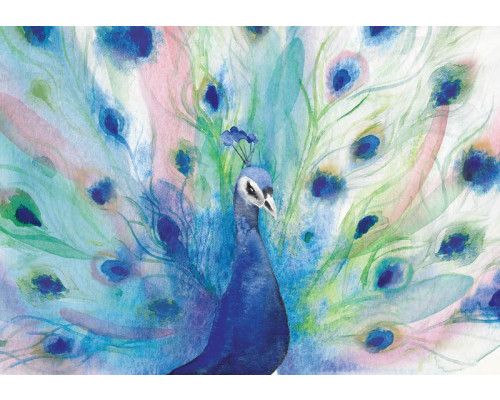 Fotobehang met een schilderachtige pauw met gedetailleerde veren in levendige kleuren. Een elegant en verfijnd ontwerp.