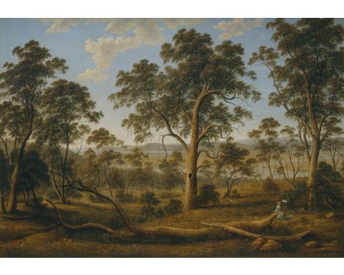 Fotobehang van een bos, geschilderd in een natuurlijke stijl.