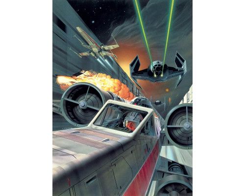 Fotobehang van de Death Star trench run, een klassieke Star Wars scène, perfect voor sci-fi kamers.