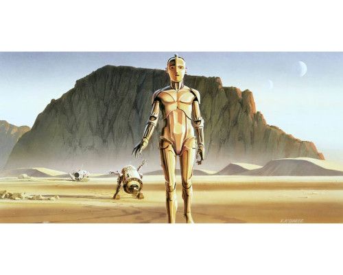 Star Wars droids fotobehang, met de geliefde robots R2-D2 en C-3PO.