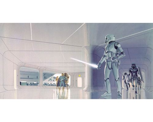 Stormtrooper Hallway fotobehang, met de beruchte soldaten van het rijk.