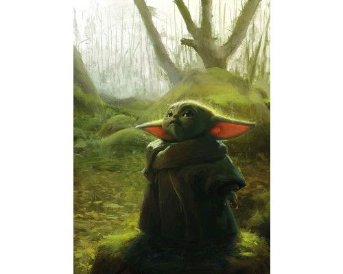 Mandalorian en Grogu (Baby Yoda) op een artistiek acryl fotobehang, met levendige kleuren en een galactische achtergrond.