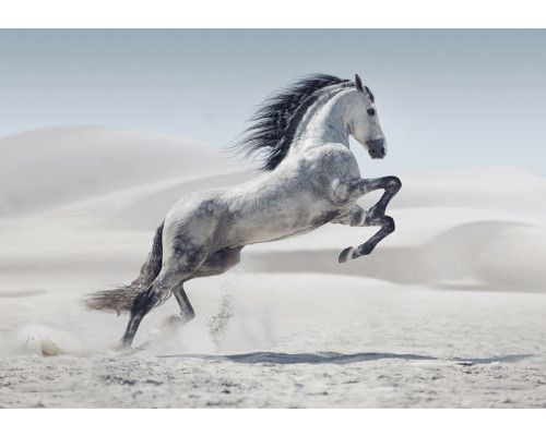 Fotobehang Strand met Duinen en Zee met uitzicht over zand, helmgras en glinsterende golven.