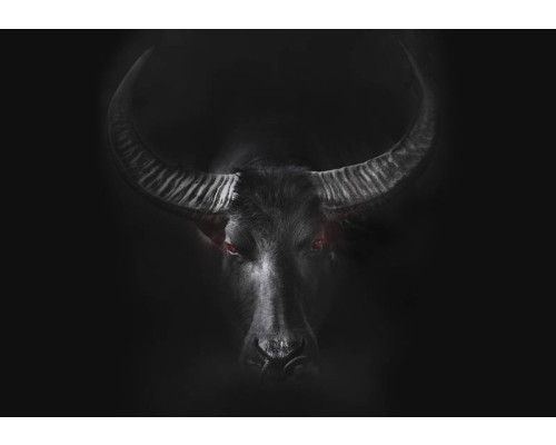 Fotobehang van een krachtige stier, dynamisch weergegeven in een industriële setting met sterke contrasten.