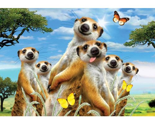 Stokstaartjes en dieren, dolle beestenboel fotobehang met een grappige weergave voor kinderen.