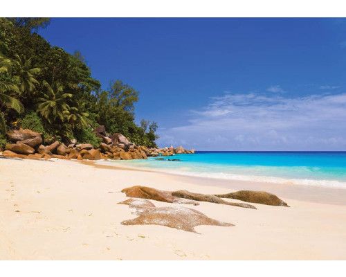 Strand en zee, fotobehang met een kalmerend en natuurgetrouw uitzicht op de horizon.