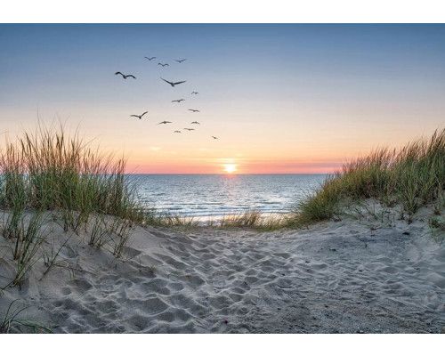 Fotobehang strand, duinen en zee bij zonsondergang met vogels in de lucht en zachte kleuren van de ondergaande zon.