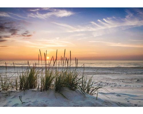 Fotobehang helmgras op zandduinen met uitzicht op zee bij zonsondergang.