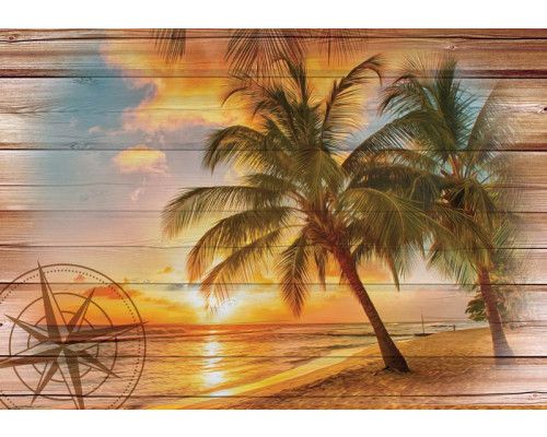 Zonsondergang op het strand met palmbomen, duinen en oceaan, perfect weergegeven op een fotobehang.