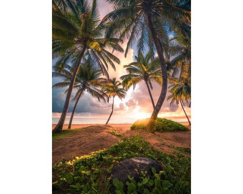 Paradijs strand fotobehang, met het stralende zonlicht van Puerto Rico.