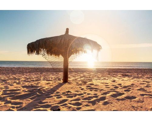 Fotobehang van een tropisch strand met een prachtige zonsondergang, waar de zee en palmbomen harmonieus samenkomen.