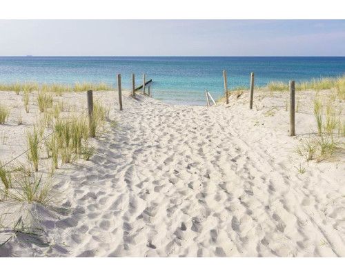 Fotobehang van een zandpad door de duinen met uitzicht op de zee.