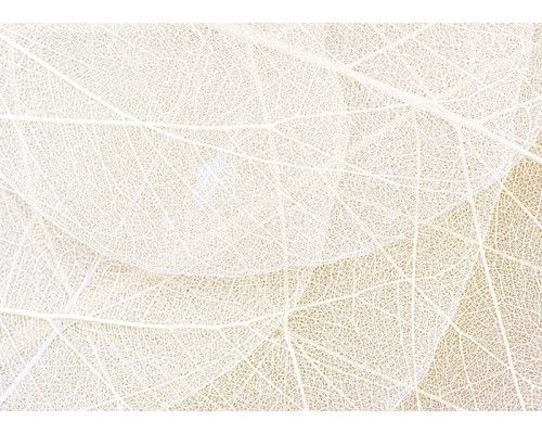 Fotobehang Structuur van Bladeren