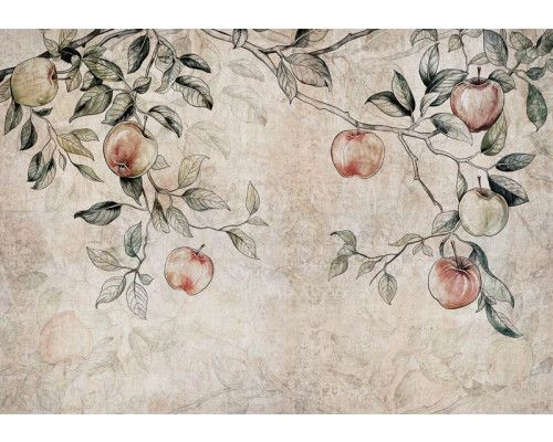 Fotobehang van takken van een appelboom met appels, voor een landelijke sfeer.