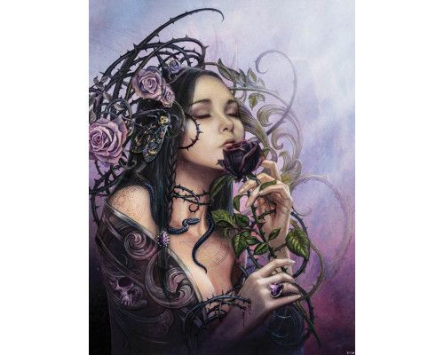 Fotobehang van de midnight rose met een vrouw en roos, alchemie thema.