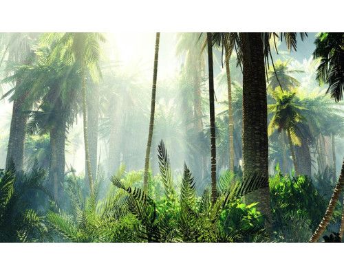 Fotobehang van een tropisch bos met palmbomen, omgeven door dichte jungle en levendige natuur.