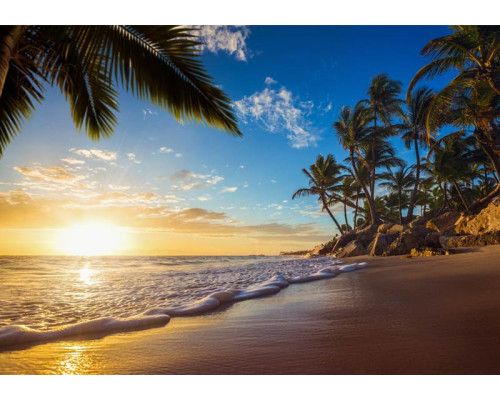 Tropische scène met palmbomen op een paradijselijk strand, met blauwe lucht en helder water op de achtergrond.