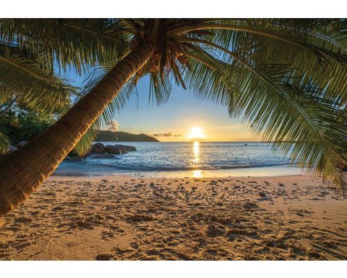 Fotobehang van een tropisch strand met een eenzame palmboom, een warme zonsondergang en een helderblauwe zee
