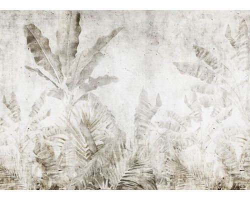 Fotobehang met een contrastrijke afbeelding van tropische bladeren tegen een betonnen achtergrond, perfect voor een moderne en natuurlijke uitstraling.