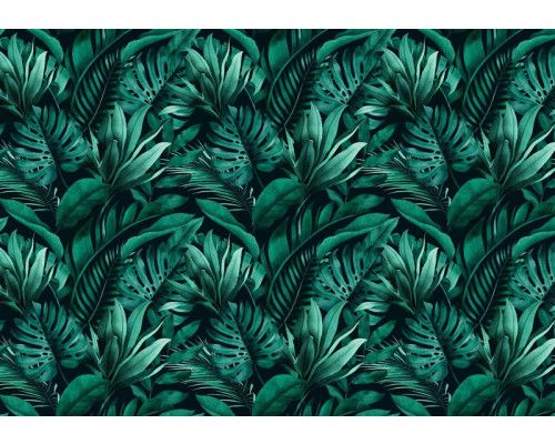 Tropische junglebladeren op een botanisch fotobehang, dat een frisse en weelderige sfeer brengt.